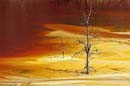 28A_fost_candva_o_viata