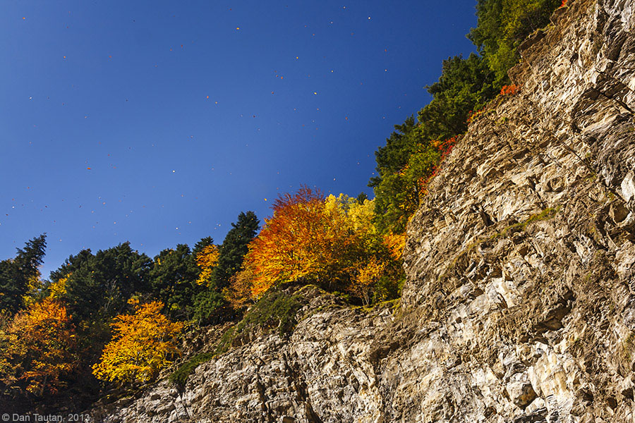 04Flying_colours